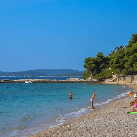 Mare