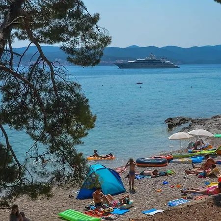 Mare